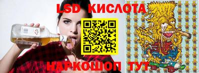 ПСИЛОЦИБИНОВЫЕ ГРИБЫ Гатчина