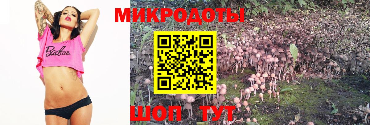 Псилоцибиновые грибы прущие грибы Нарткала
