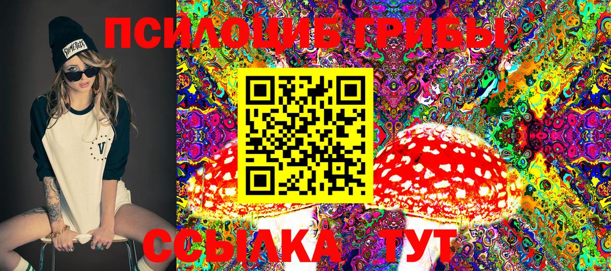 Псилоцибиновые грибы MAGIC MUSHROOMS  Вход с VPN  Нарткала 